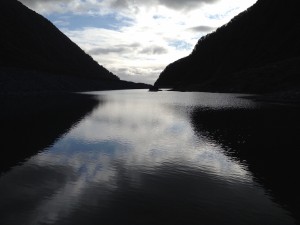 Paparoa NP - Gletscher-067